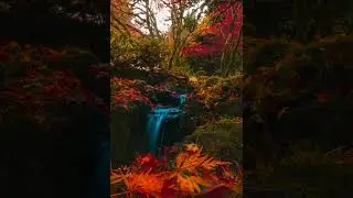 Secret Garden Podcast
