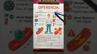 Colesterol bueno y malo