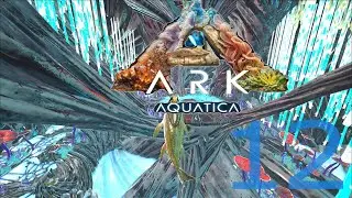 Ark Aquatica Romania | 12 | Strangem metal pentru rifle