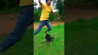 Bakri funny video 🤣#reels #arallfunny #Amazing #funny #training #reelsfb #viral #video #comedy #fun
