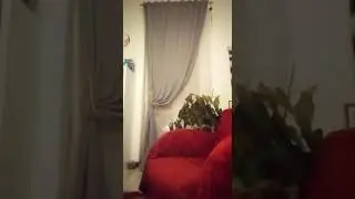 Videoregalo - Brunella