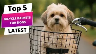 ✅ Best bicycle baskets for dogs: bicycle baskets for dogs (Buying Guide)