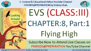 Flying High Chapter 8 : Part 1| Class 3 EVS