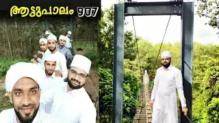 ആട്ടുപാലം 907 | പാലപ്പിള്ളി |തൃശൂർ