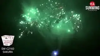 Sakura - 500 Gram Zipper Cake (Sunwing Fireworks)