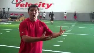 Optimal Range of Motion