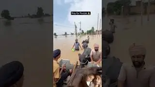 Pray for Punjab 🙏 💔 #punjabfloods  #savepunjab #helpfloodvictims #punjabnews