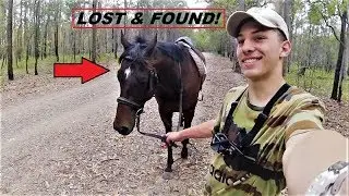 RETURNING A LOST HORSE TO ITS OWNER!
