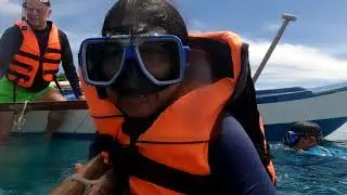She Went Overboard Oslob Whale Sharks  🇵🇭 #cebu #oslob #philippines