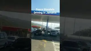 Largest Gas Station Jamaica