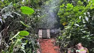 24 Hours of Survival in the Jungle: Building a Hidden Bamboo &ldquo;Bunker&rdquo; Alone &mdash; No Power, No Signal