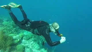 single tank sm curacao dec 2017