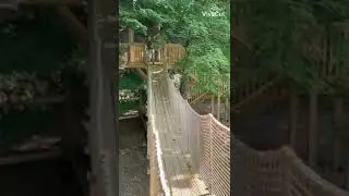 Our Treehouse Trek now has the Critter Paths Complete!