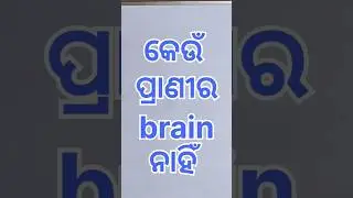 #odisha #education #biology #zoology #odia #easystudybytapan #animals #sciencefacts #science #brain