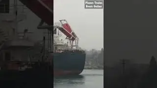 #shorts Algoma Intrepid Cargo Ship Pass By #ships
