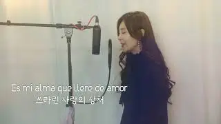 Donde voy - tish hinojosa  돈데보이 윤태화