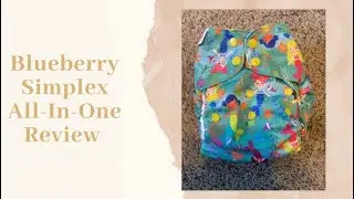 Blueberry Simplex AIO Review