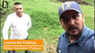 EVITE CÓLICAS (IMPACTAÇÃO) NO INVERNO | LEONARDO FEITOSA