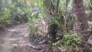 Eu e a natureza!