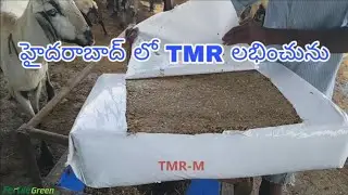 TMR Available in Hyderabad | 9849008772