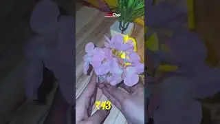 🏠✨ Style your home with trendy & classy DeoDap home decor picks! ✨ #DeoDap
