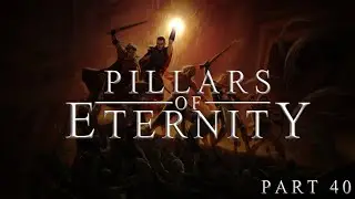 Pillars of Eternity &ndash; Part 40 | The Animancy Hearing (Blind Playthrough)