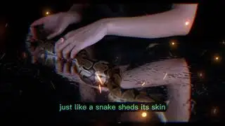 snake #viral #people #animals #funny #snake