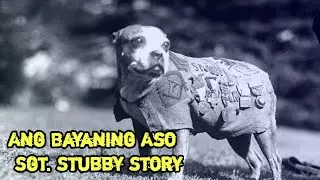 Ang Bayaning Aso - Sgt. Stubby Story | Alamin Natin PH