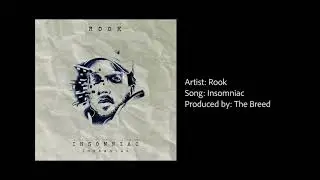 Rook Director - Insomniac (Prod by The Breed)