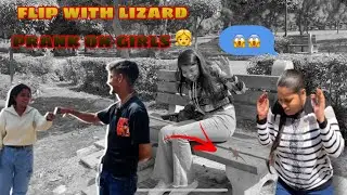 Lizard 🦎 prank / cute 🥰 girls reaction                   ​⁠ #prank #viralvideo