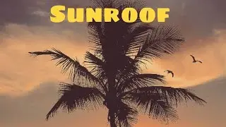 sunroof by. Nicky your and dazy /sped up/lyrics