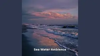 Sea Water Ambience with Soft Tide Sounds, Pt.2