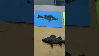 Gyotaku: Creating a print with a rubber fish, preview video for my students.
