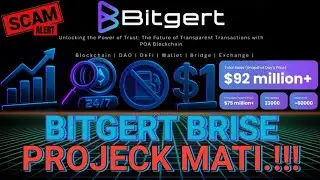 MASIH INGAT BRISE THE SOLANA KILLER⁉️BEGINI KONDISI NYA -98%📈