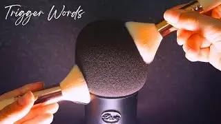 ASMR Mic Brushing and Echoed Trigger Words for Deep Sleep [FR / EN]