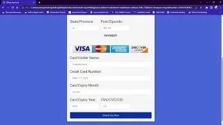 Create payment online form using html and css || payment form for begineers 2023 