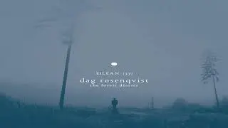 VIII - Dag Rosenqvist (2015)
