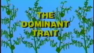 Principle of Dominance