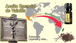 Aceite Esencial de Vainilla Madagascar doTERRA | Conoce su Origen Propiedades y ENIGM&Aacute;TICA LEYENDA!