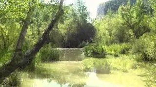 The River - Contemplation Relaxation Nature Creation
