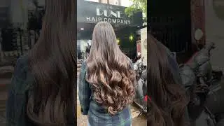 Honey blonde hair colour transformation  #thepunehaircompany #Shorts #LetYourHairDoTheTalking