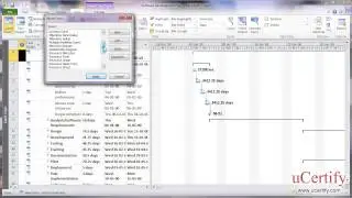 ms project 2010 how to apply the resource allocation view demo