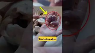 Incredible Rare Photos That Will Leave You Speechless! Part 110