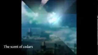 Relaxing music - instrumental - Philipp Weigl