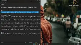 How to check your PUBLIC IP Address on Windows 2023