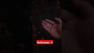 Knallerbsen #halloween #fireworks #feuerwerk