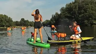 Kuzminki, Pet shop Sup-swimming with dogs on a board-5/Кузьминки, Petshop Sup-плавание с собаками-5.