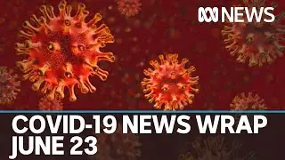 Coronavirus Update: Two Melbourne schools close due to positive COVID-19 cases | ABC News
