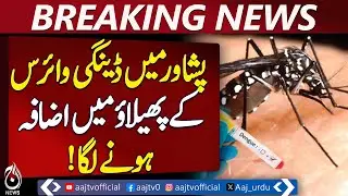 Dengue outbreak spikes mosquito repellent demand in Peshawar - Pakistan news