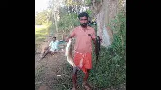 same place Rohu#mirukal 🐠🐋🐟fish(with hand made hook fishing)